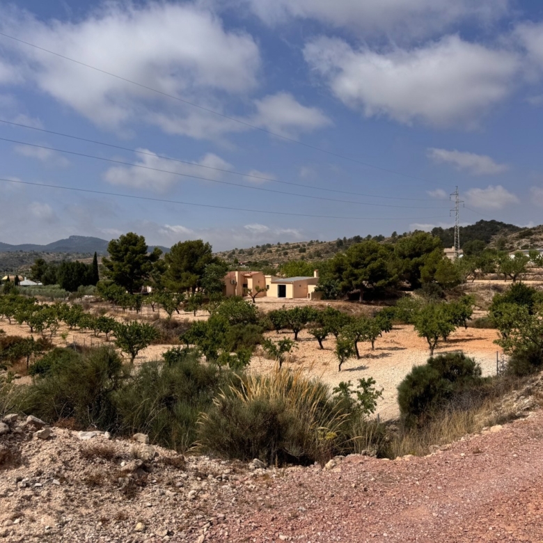 Villa in Monóvar (Ref: 3201 DNV0587)