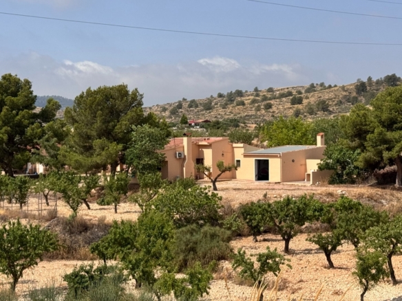 Villa in Monóvar (Ref: 3201 DNV0587)