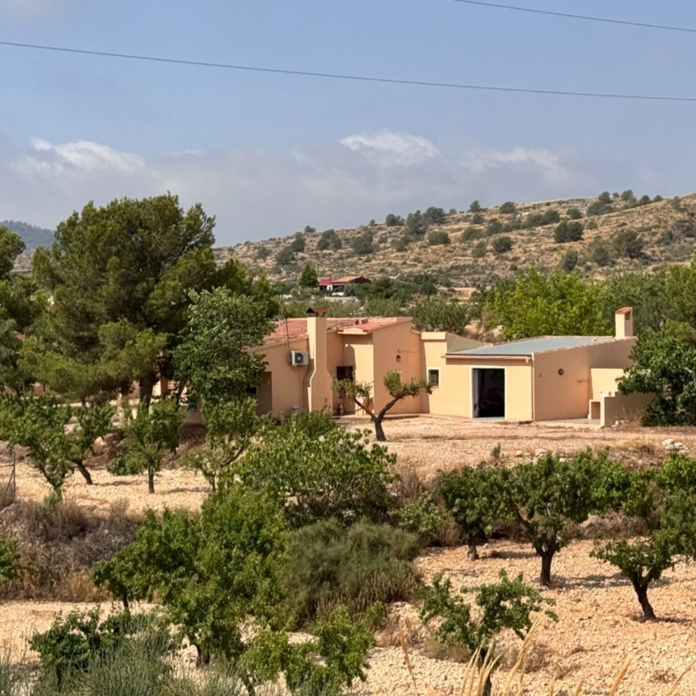 Villa in Monóvar (Ref: 3201 DNV0587)
