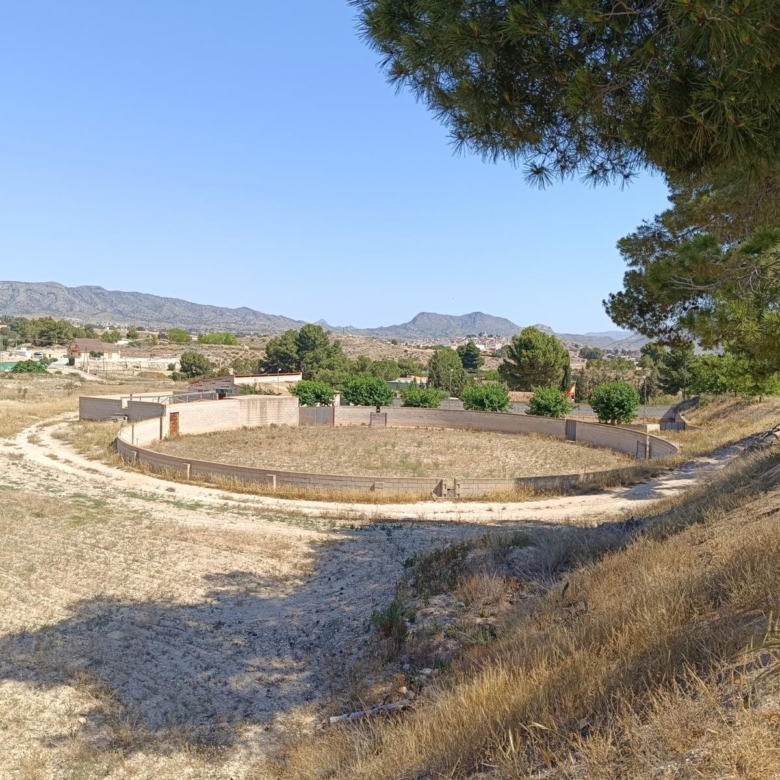 Country House in Monóvar (Ref: 3204 DNV0580)