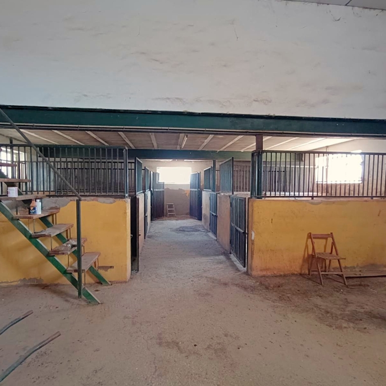 Country House in Monóvar (Ref: 3204 DNV0580)