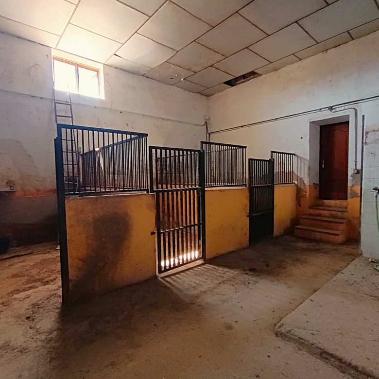 Country House in Monóvar (Ref: 3204 DNV0580)