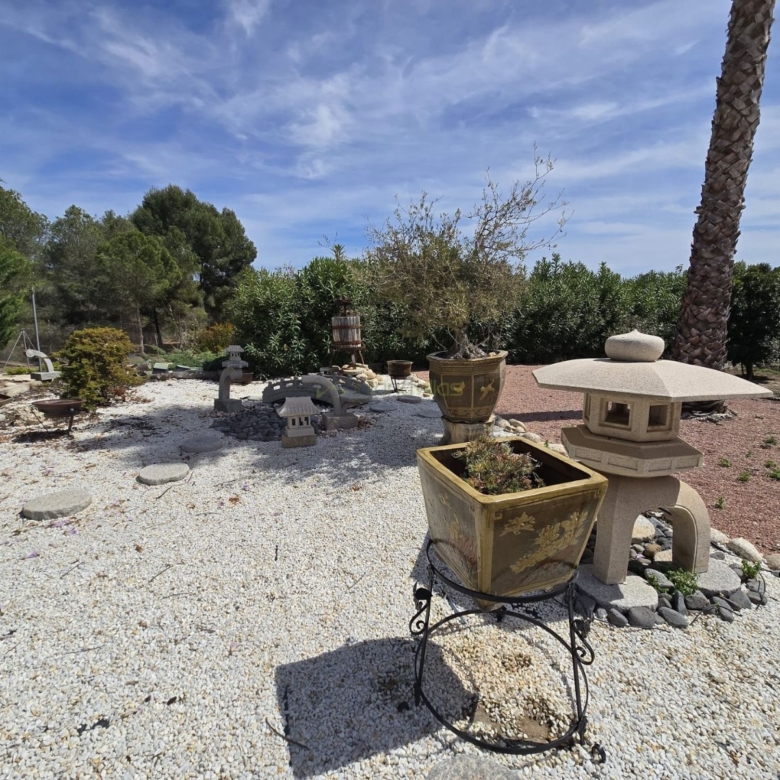 Villa in Sax (Ref: 5033 IVE13841)