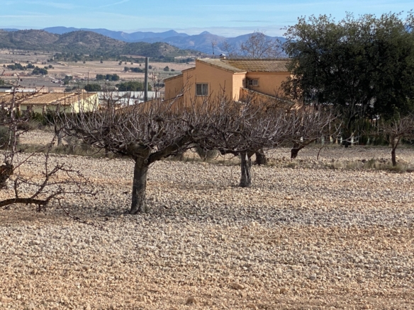 Country House in Salinas (Ref: 18225)