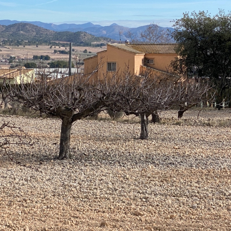 Country House in Salinas (Ref: 18225)
