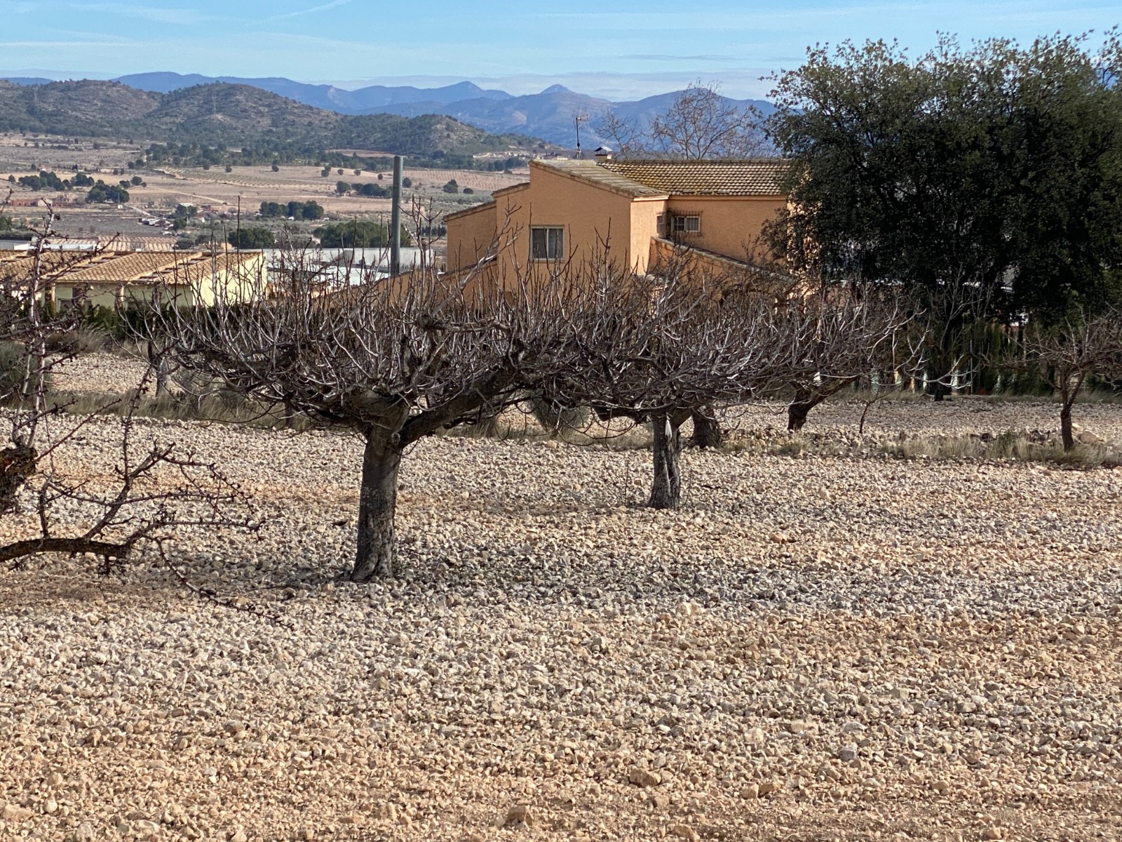 Country House in Salinas (Ref: 18225)