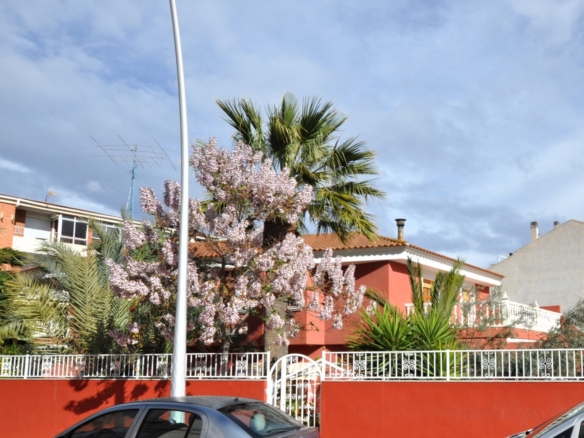 Townhouse in Sax (Ref: 3028 MTP3900)