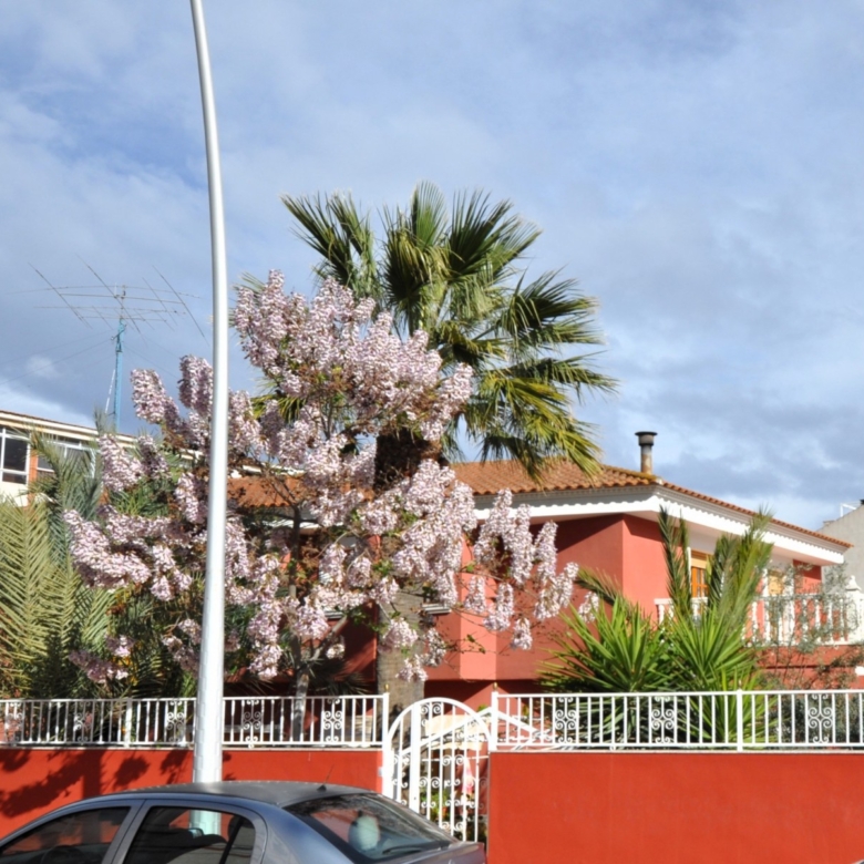 Townhouse in Sax (Ref: 3028 MTP3900)