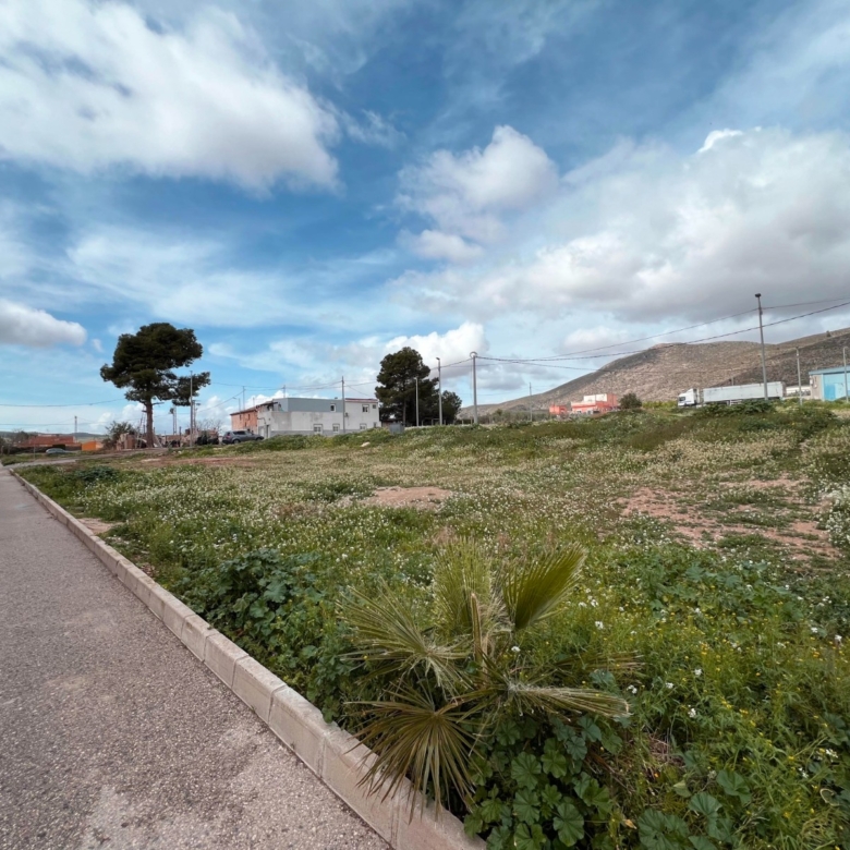 Plot in Hondón de los Frailes (Ref: AM-URBANPLOT)