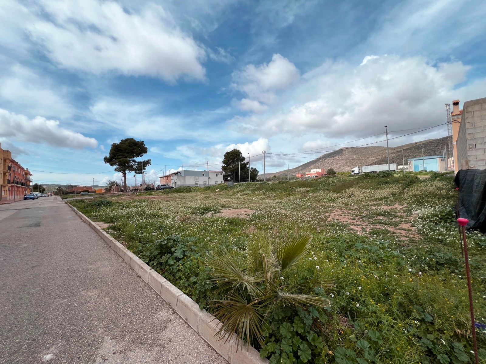 Plot in Hondón de los Frailes (Ref: AM-URBANPLOT)