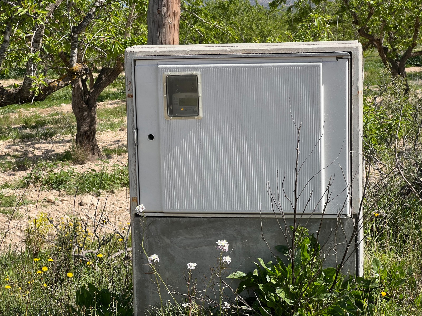 Plot in Hondón de los Frailes (Ref: AM-HFMIPLOT)