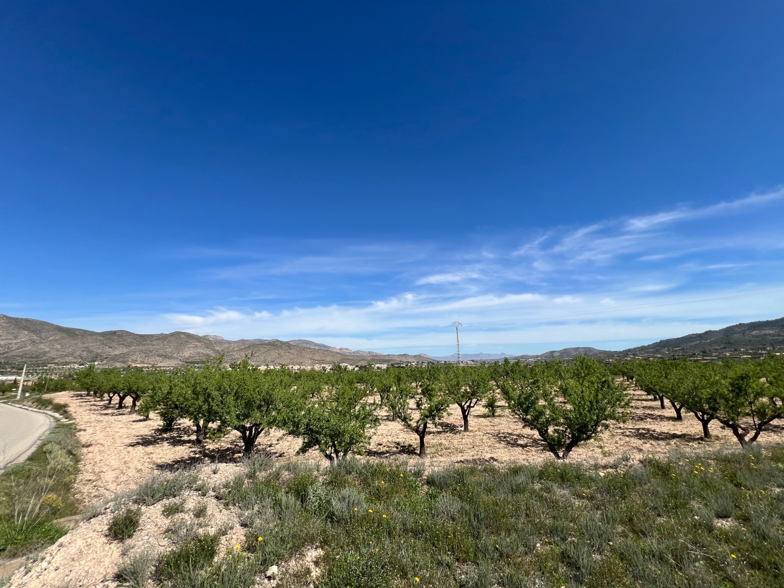 Plot in Hondón de los Frailes (Ref: AM-HFMIPLOT)