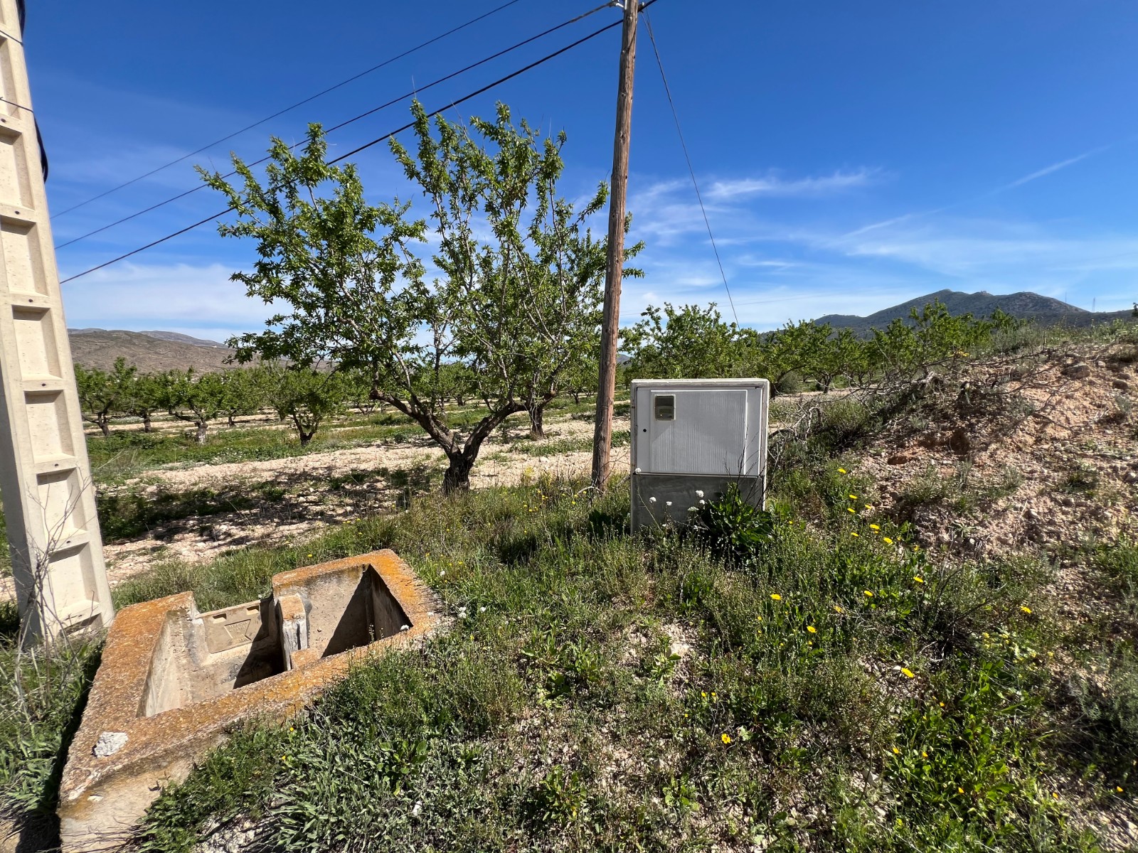 Plot in Hondón de los Frailes (Ref: AM-HFMIPLOT)