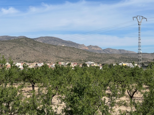 Plot in Hondón de los Frailes (Ref: AM-HFMIPLOT)
