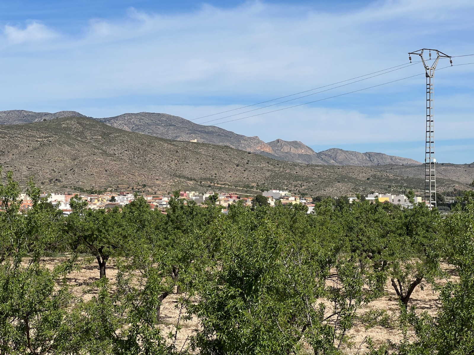 Plot in Hondón de los Frailes (Ref: AM-HFMIPLOT)