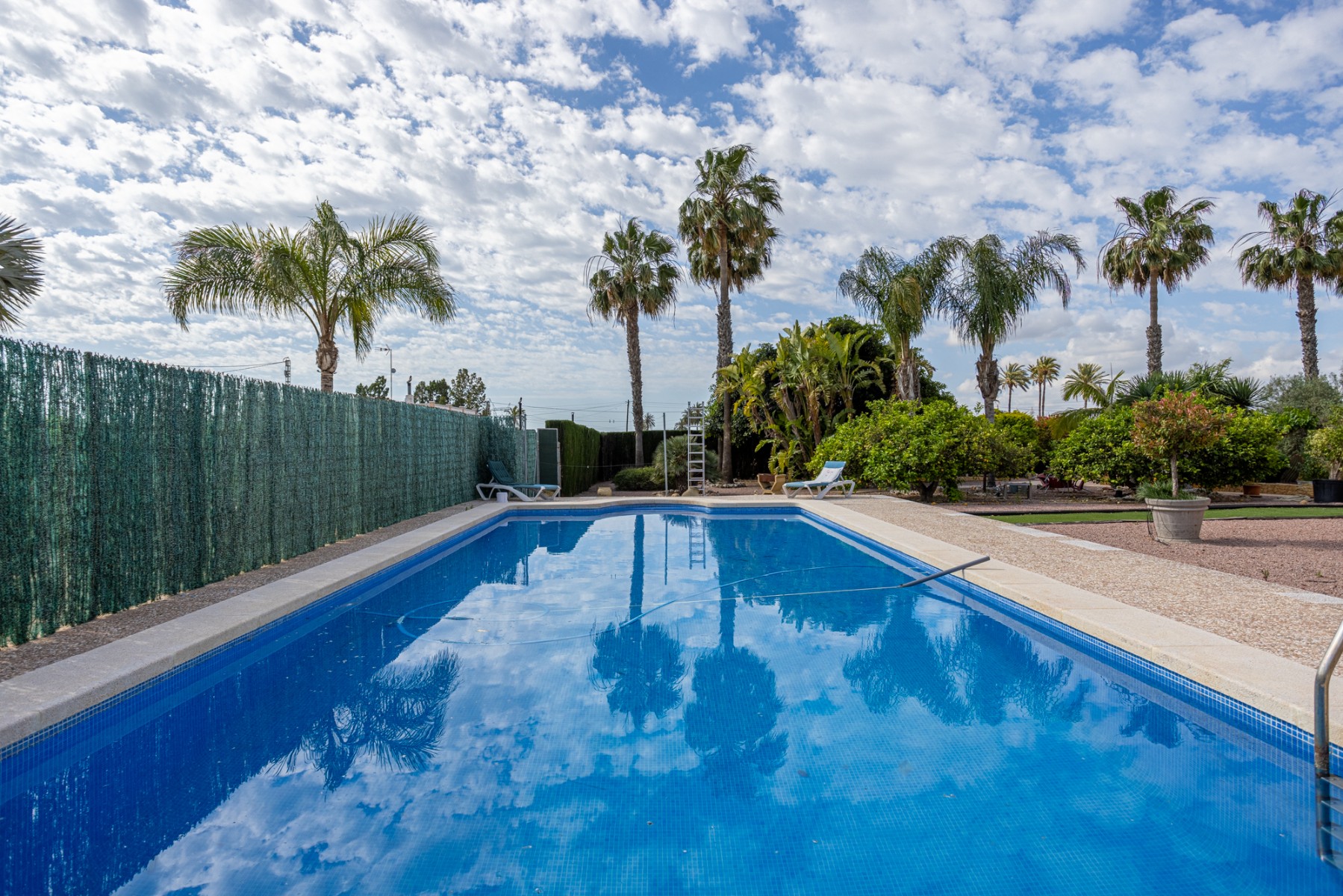 Detached Villa in Elche (Ref: BC-VISA)