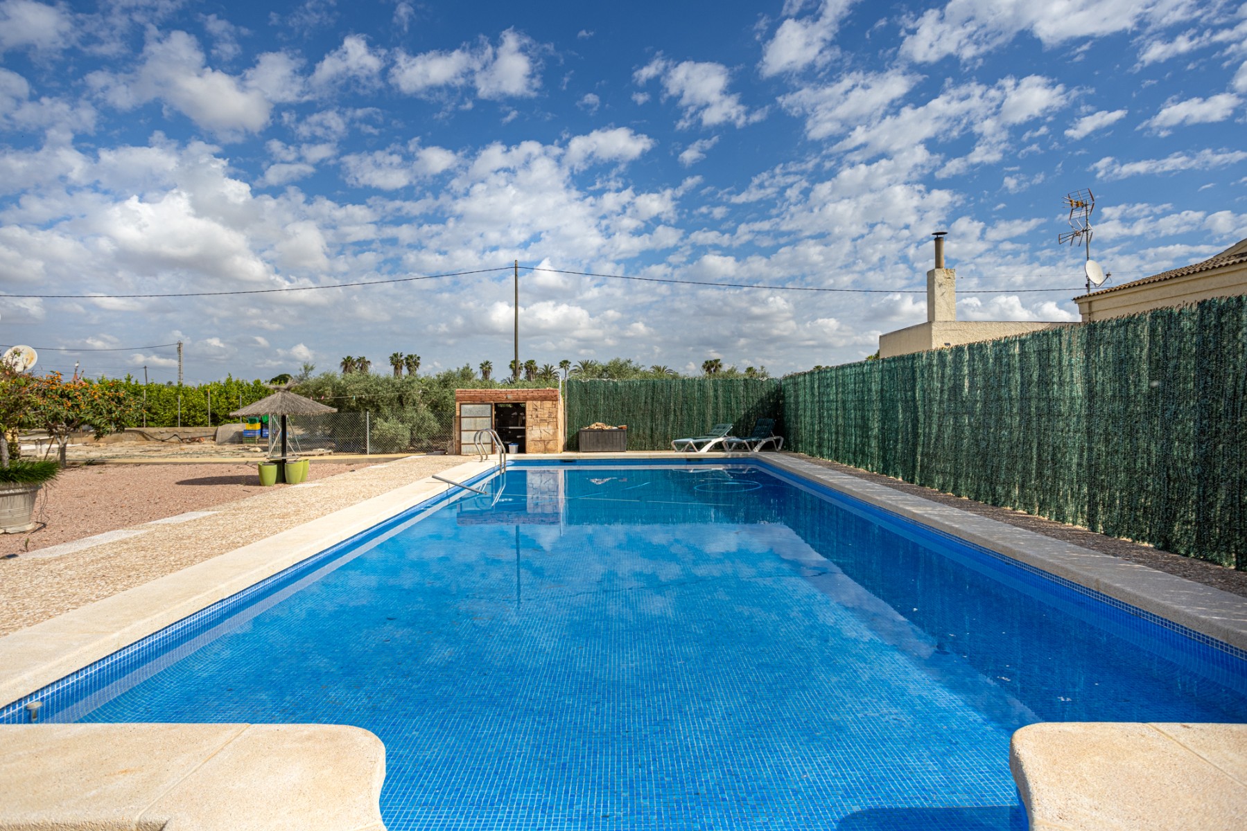 Detached Villa in Elche (Ref: BC-VISA)