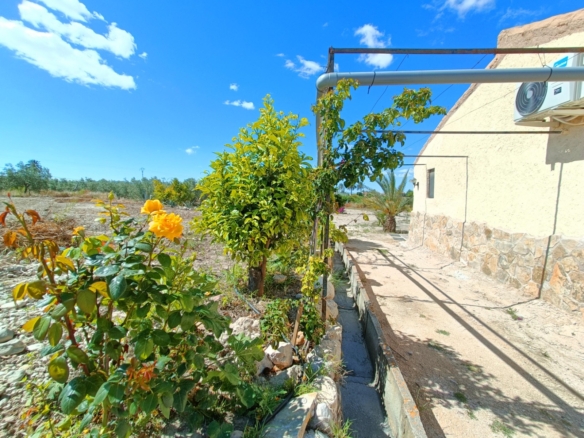 Villa in Abanilla (Ref: AM-MAHOYA)