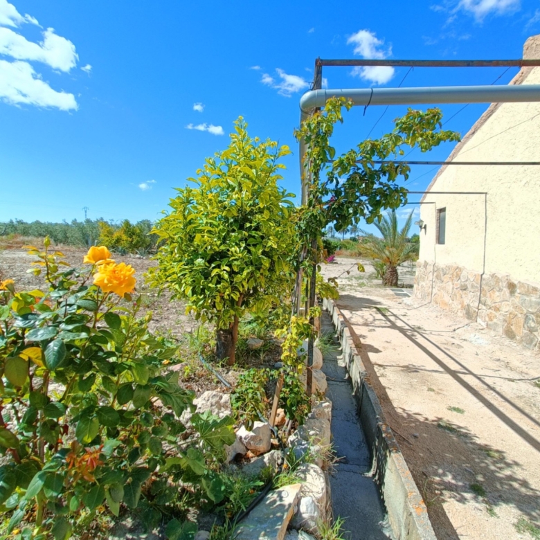 Villa in Abanilla (Ref: AM-MAHOYA)
