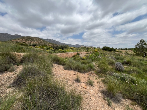 Plot in Hondón de las Nieves (Ref: AM-LOTPLOT)