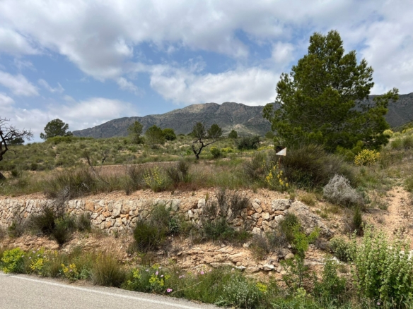 Plot in Hondón de las Nieves (Ref: AM-LOTPLOT)
