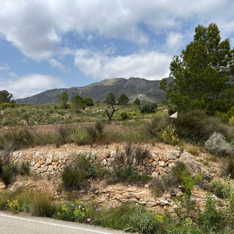 Plot in Hondón de las Nieves (Ref: AM-LOTPLOT)