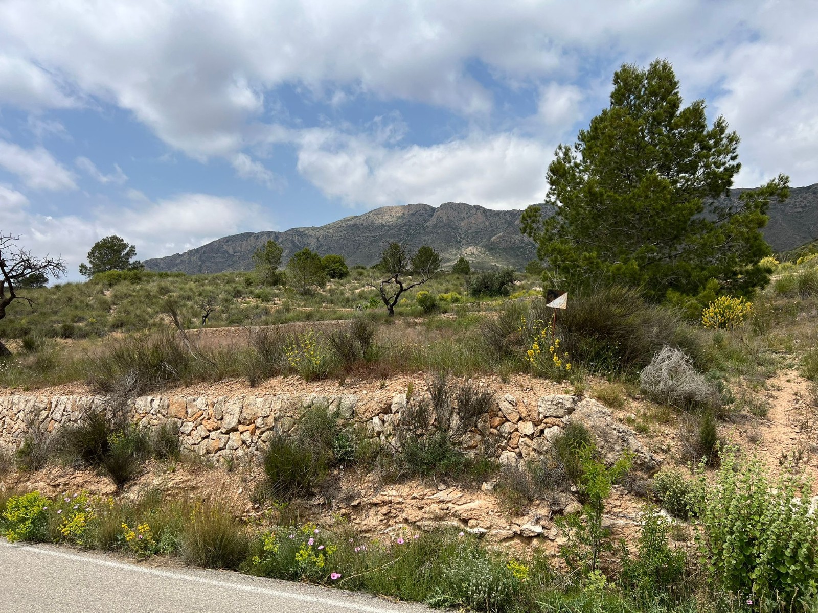 Plot in Hondón de las Nieves (Ref: AM-LOTPLOT)