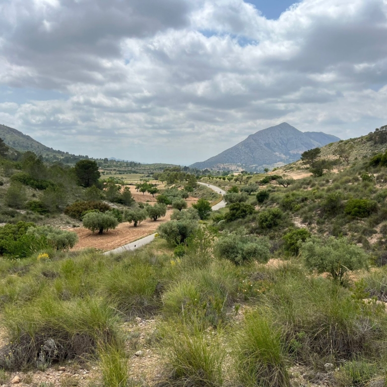 Plot in Hondón de las Nieves (Ref: AM-LOTPLOT)