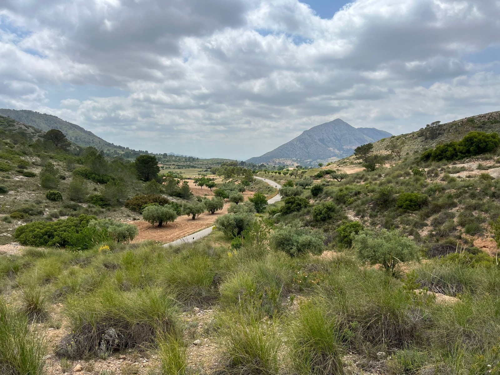 Plot in Hondón de las Nieves (Ref: AM-LOTPLOT)