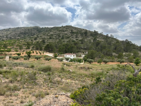 Plot in Hondón de las Nieves (Ref: AM-LOTPLOT)