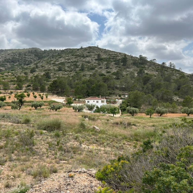 Plot in Hondón de las Nieves (Ref: AM-LOTPLOT)