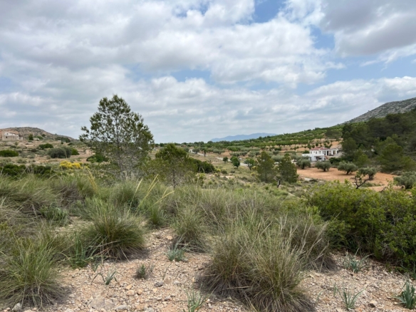 Plot in Hondón de las Nieves (Ref: AM-LOTPLOT)