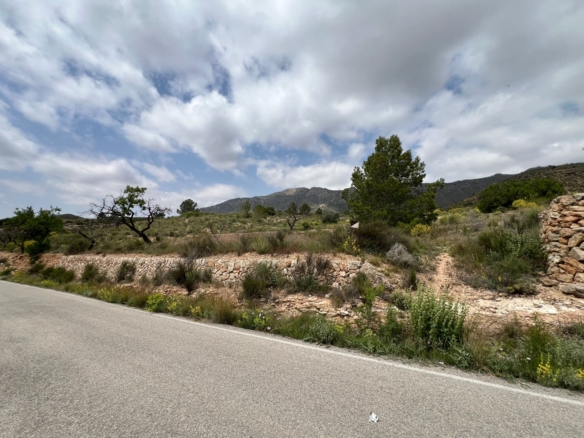Plot in Hondón de las Nieves (Ref: AM-LOTPLOT)
