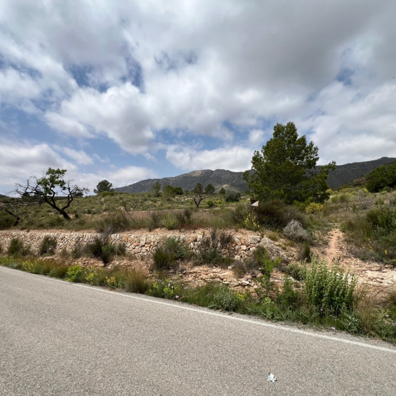 Plot in Hondón de las Nieves (Ref: AM-LOTPLOT)