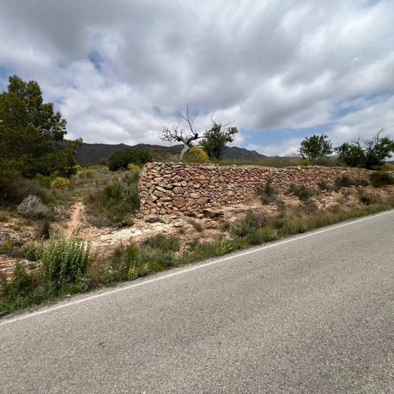 Plot in Hondón de las Nieves (Ref: AM-LOTPLOT)