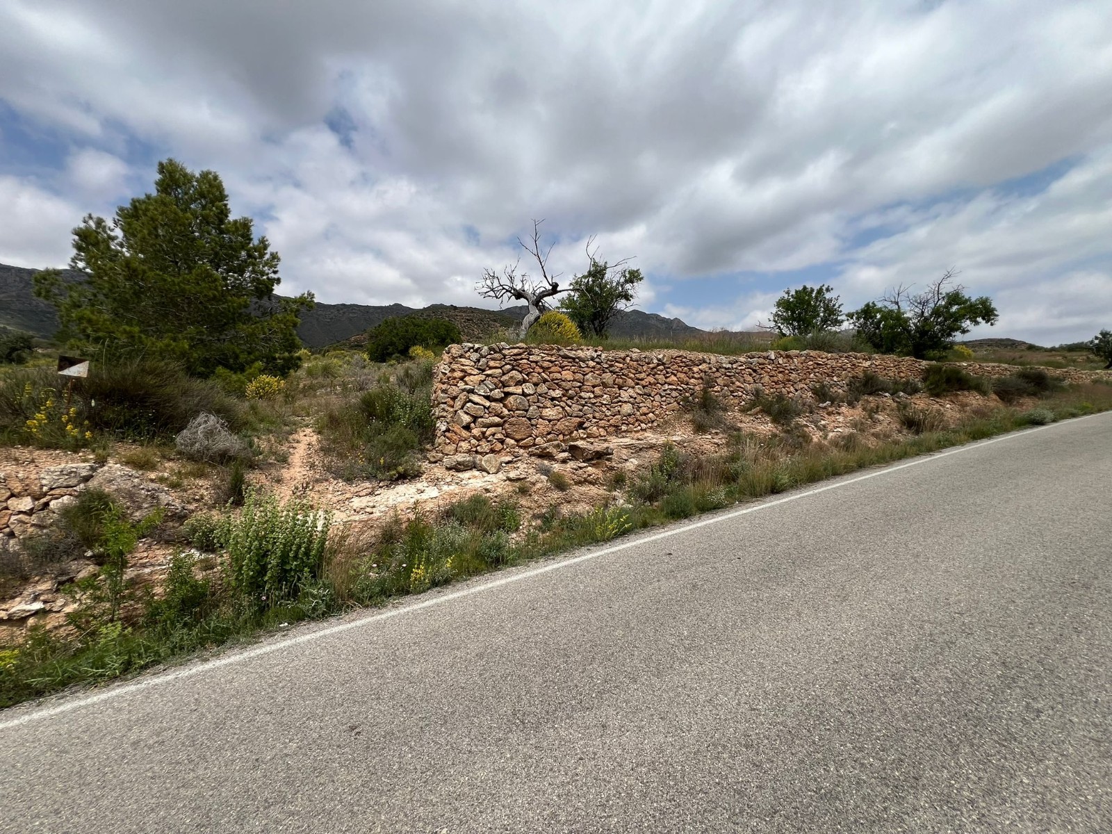 Plot in Hondón de las Nieves (Ref: AM-LOTPLOT)