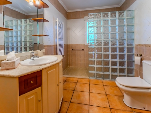 Country Property in Rojales (Ref: DLF137)