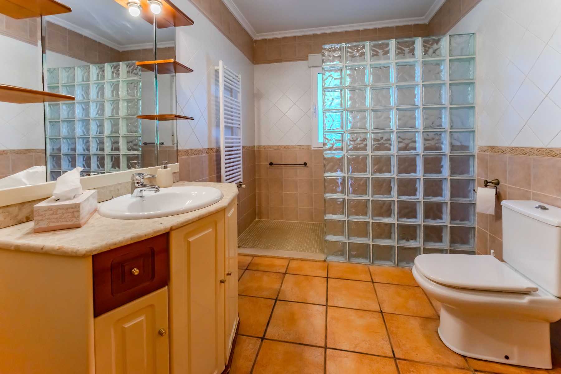 Country Property in Rojales (Ref: DLF137)