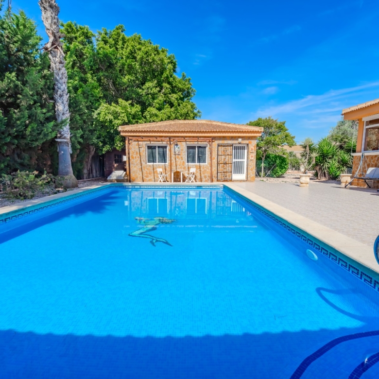 Country Property in Rojales (Ref: DLF137)