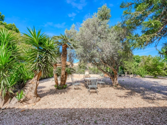 Country Property in Rojales (Ref: DLF137)
