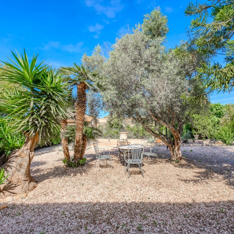 Country Property in Rojales (Ref: DLF137)