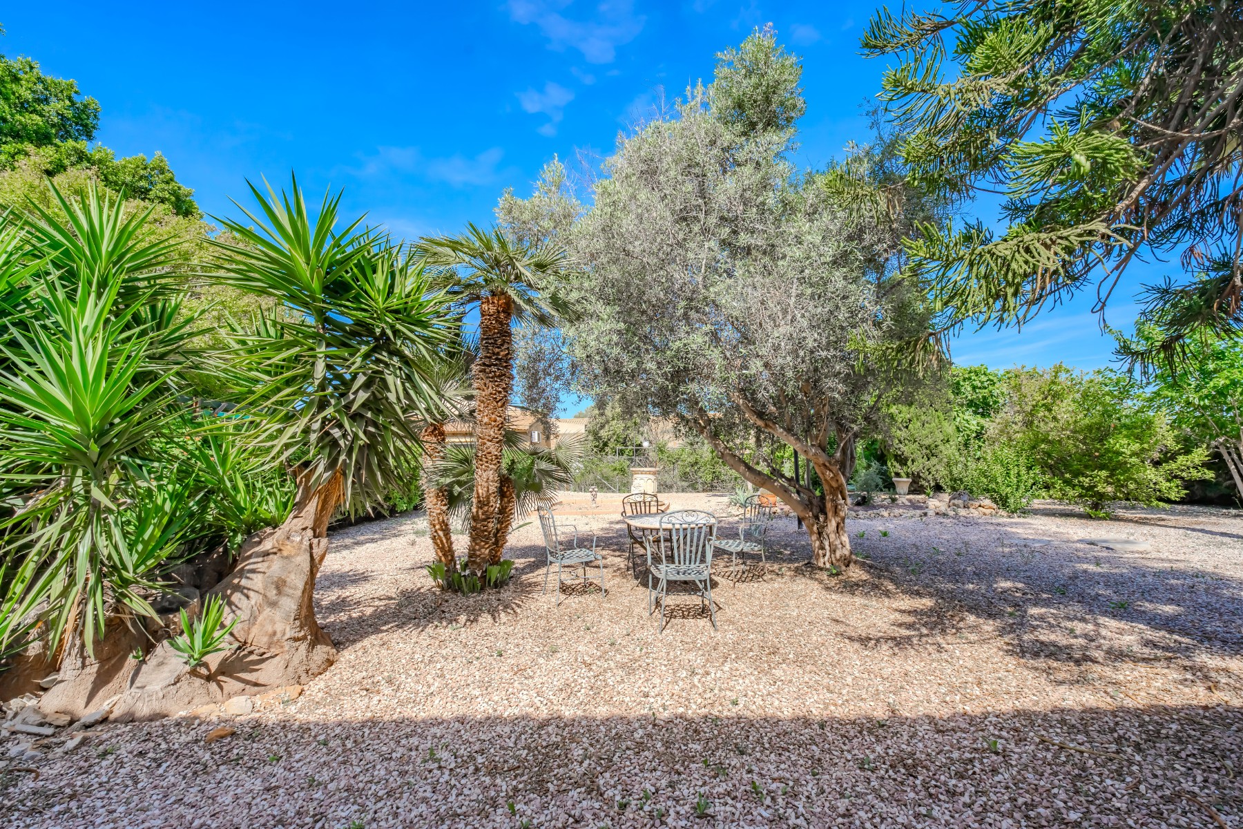 Country Property in Rojales (Ref: DLF137)