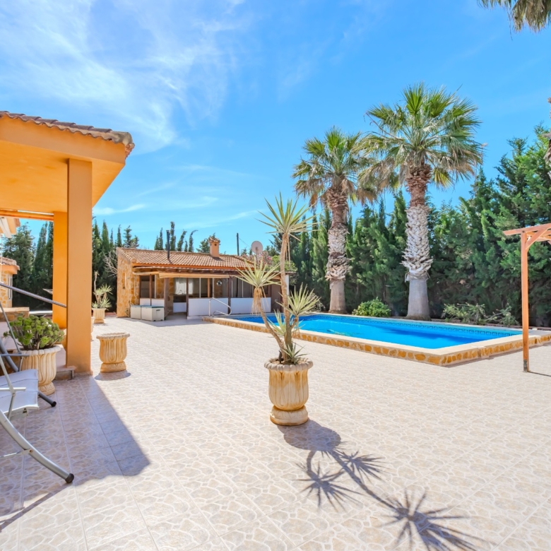 Country Property in Rojales (Ref: DLF137)