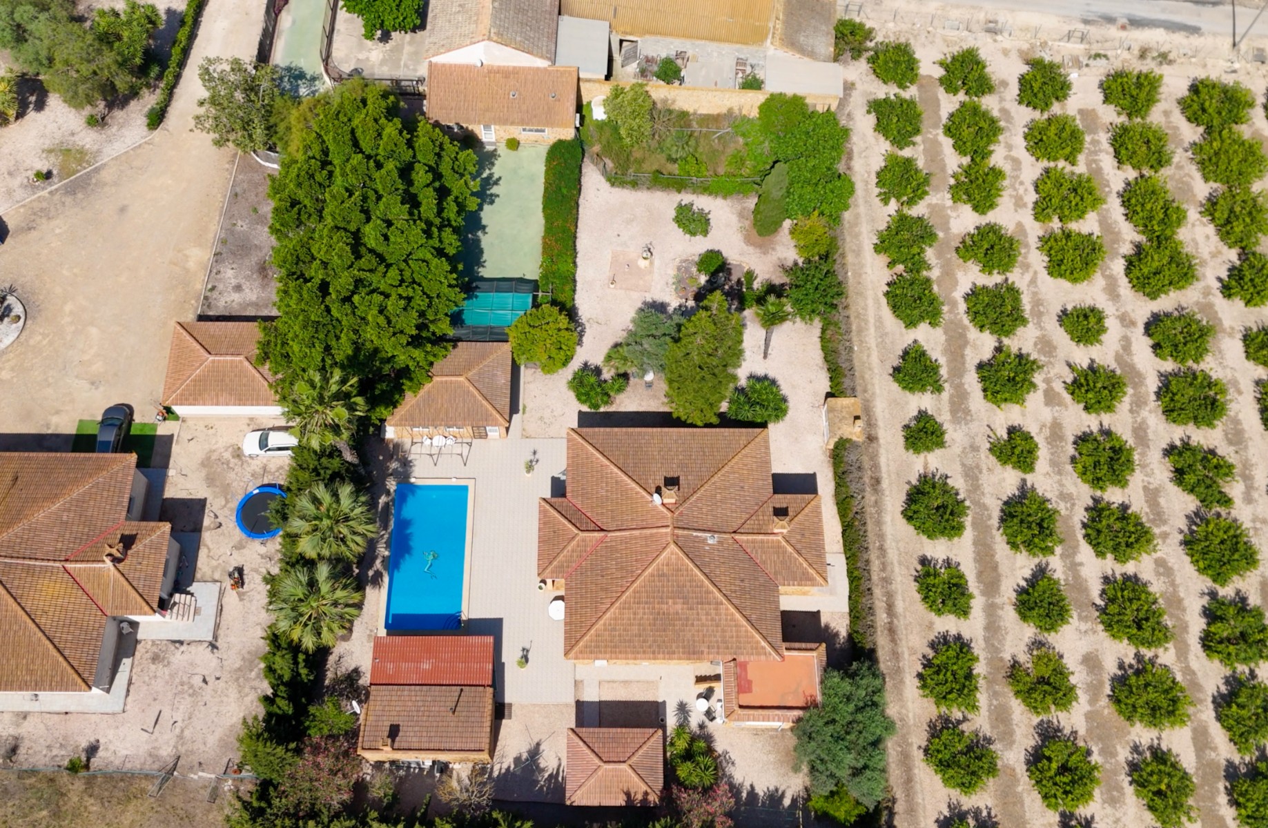 Country Property in Rojales (Ref: DLF137)
