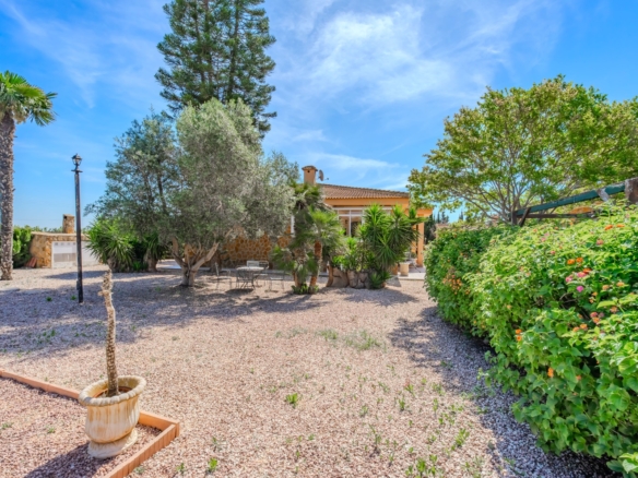 Country Property in Rojales (Ref: DLF137)