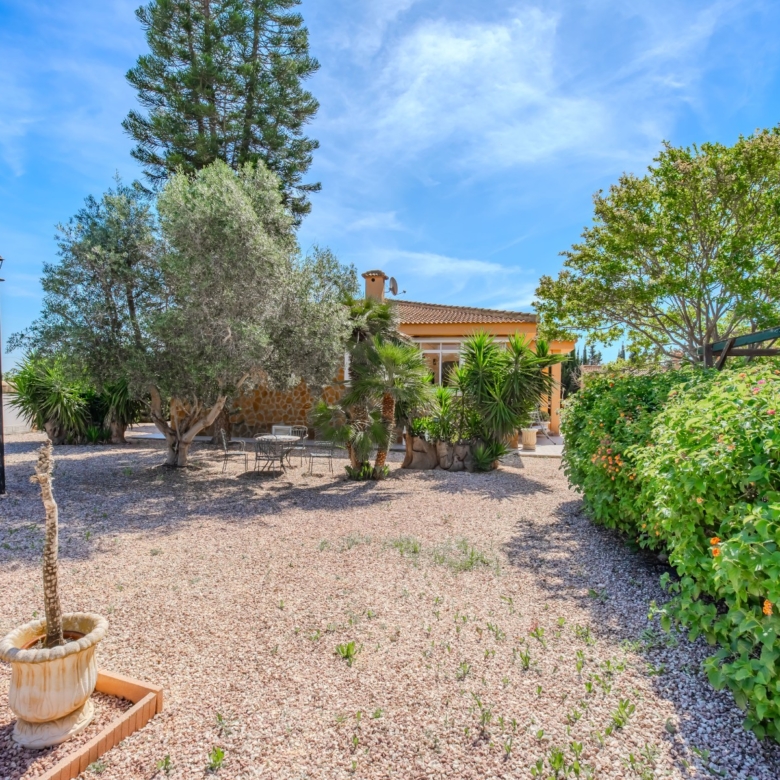 Country Property in Rojales (Ref: DLF137)