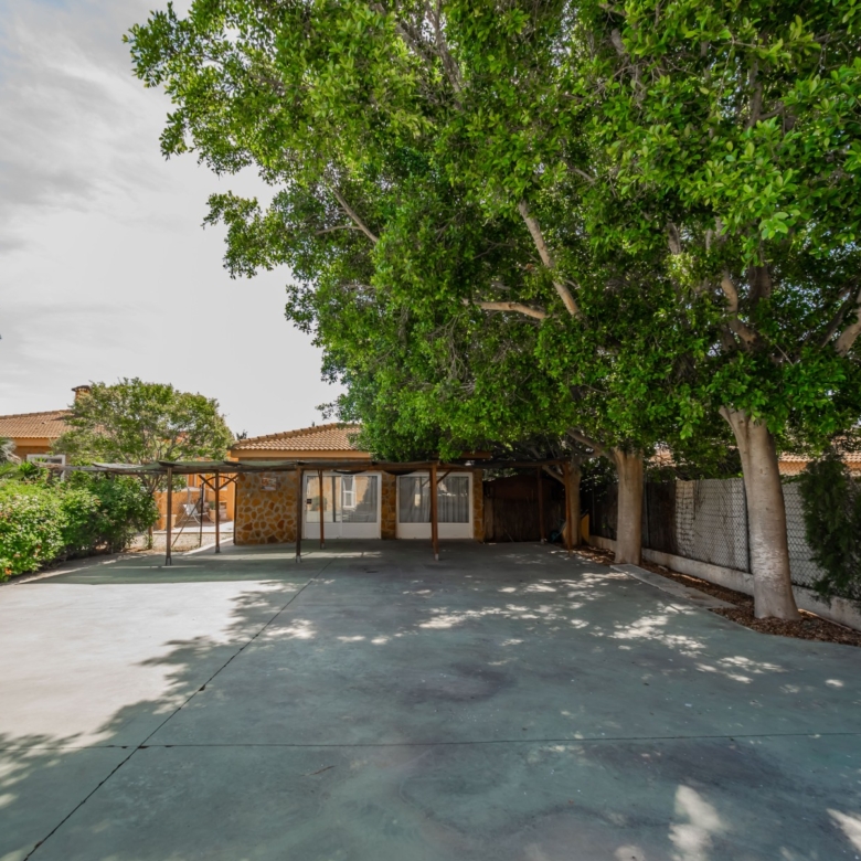 Country Property in Rojales (Ref: DLF137)