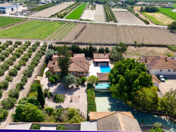 Country Property in Rojales (Ref: DLF137)
