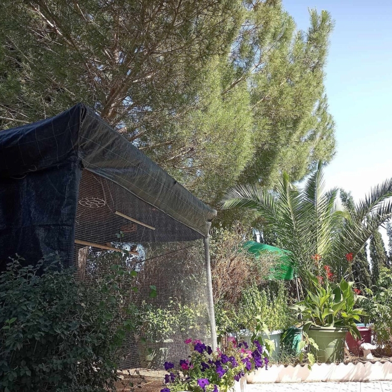 Villa in Sax (Ref: 9030 PT3117)