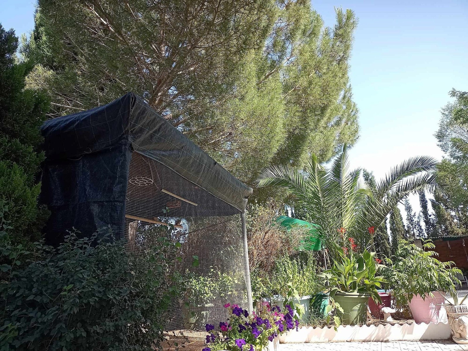 Villa in Sax (Ref: 9030 PT3117)